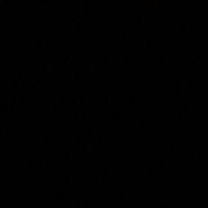 Meet your Posher, Evan